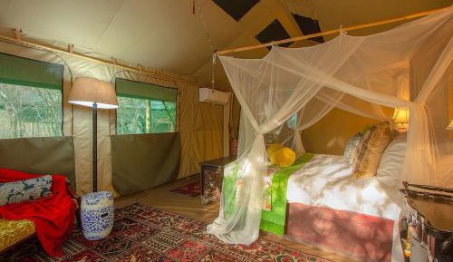 Tent