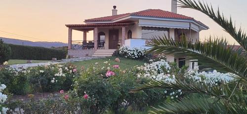 Villa with Sea View