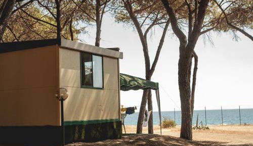 Mobile Home