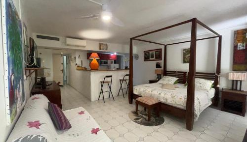 Studio Apartment