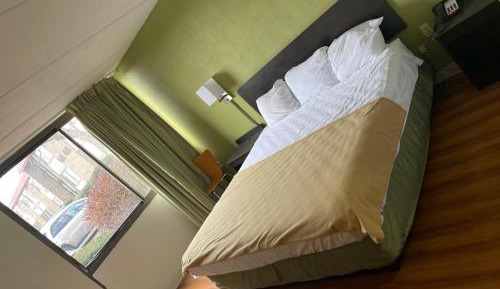 King Room with Roll-in Shower - Mobility Access/Non-Smoking