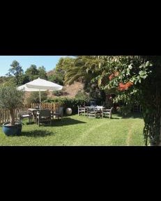 Double Room with Garden View