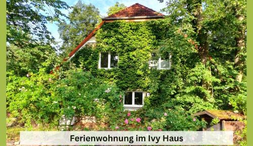Three-Bedroom Apartment - High Floor