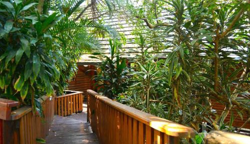 Apartment with Lake View