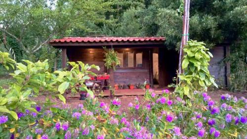 One-Bedroom Chalet