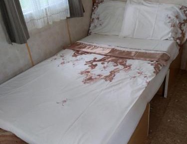 Mobile Home