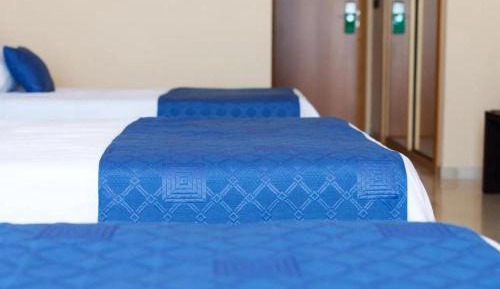 Single Bed in 4-Bed Dormitory Room