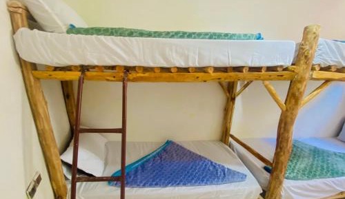 Bed in 4-Bed Mixed Dormitory Room