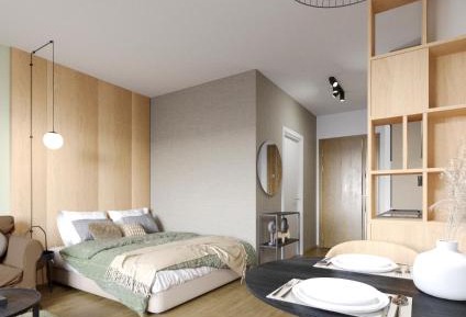 King Studio with Sofa Bed
