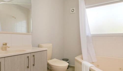 Deluxe One-Bedroom Apartment