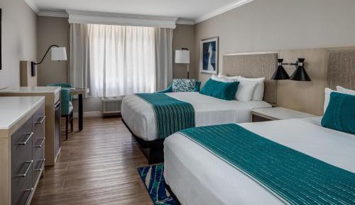 Queen Room with Standard View