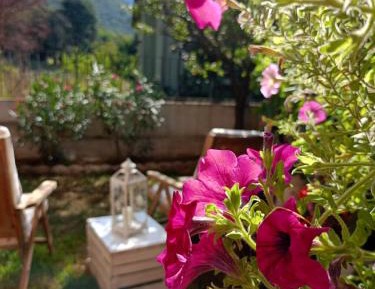Apartment with Garden View