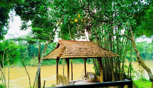 Deluxe Double or Twin Room with River View