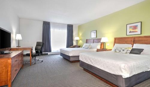 Standard Queen Room with Two Queen Beds - Non-Smoking