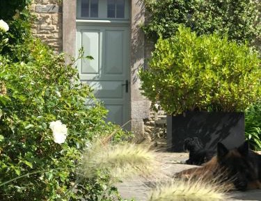 King Room with Garden View