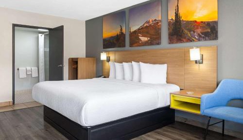 King Room with Mobility Access, Roll-In Shower, Smoking