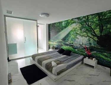 King Room with Roll-In Shower - Disability Access