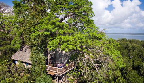 Chalet (2 Adults)