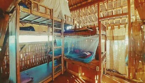 Bunk Bed in Mixed Dormitory Room