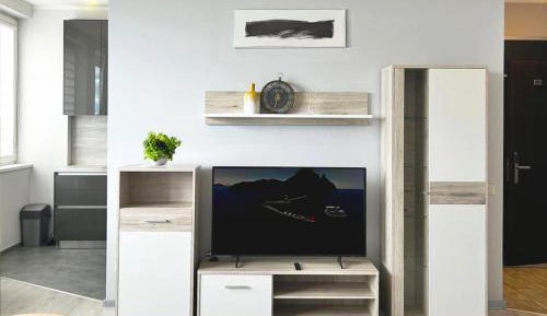 One-Bedroom Apartment with City View
