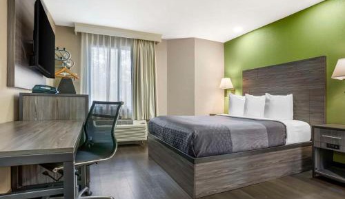 Executive Queen Room with Two Queen Beds - Non-Smoking