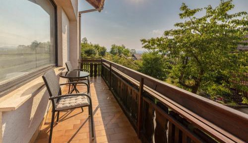 Deluxe One-Bedroom Apartment