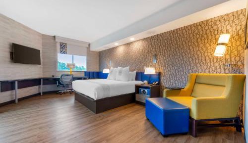King Suite