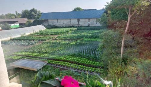 Double Room with Garden View