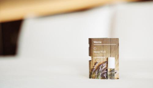 Traditional Queen Room with Two Queen Beds and Adapted Tub - Mobility Accessible