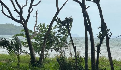 Twin Room with Sea View