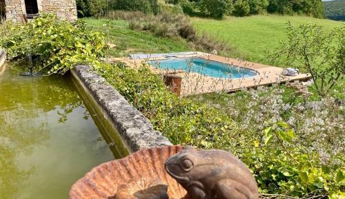 Double Room with Pool View