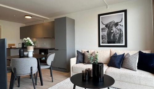 One-Bedroom Standard Apartment