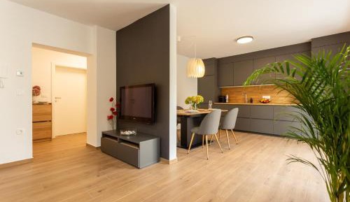 One-Bedroom Apartment with Balcony
