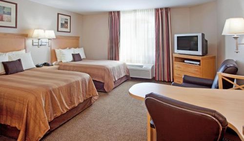 Studio Suite with Two Double Beds
