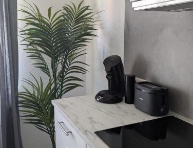 Standard Studio