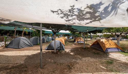 Tent