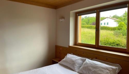 Large Double or Twin Room