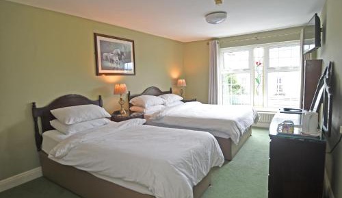 Triple Room with 1 Double Bed and 1 Single