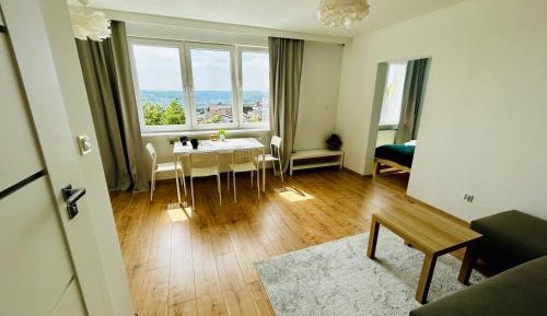 Studio Apartment with King Bed