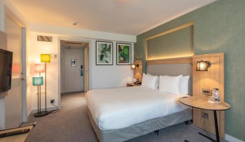 Double Room with Sofa Bed