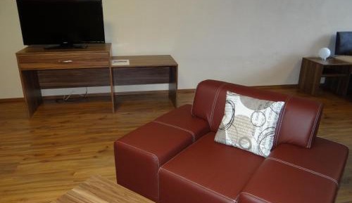 Large One-Bedroom Apartment