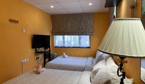 Standard Quad Room
