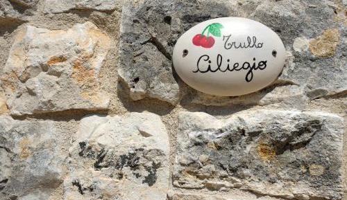 Trullo Standard Studio