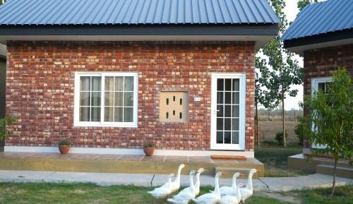 Double Room with Garden View