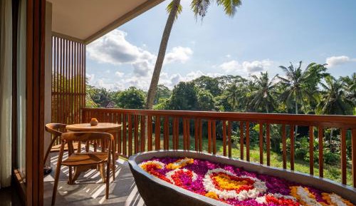 Suite with Jungle View