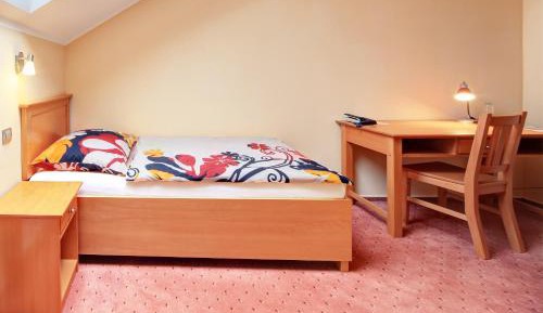 Superior Single Room