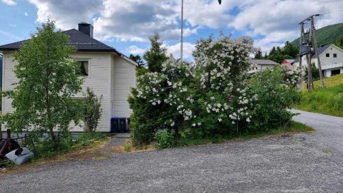 Six-Bedroom House