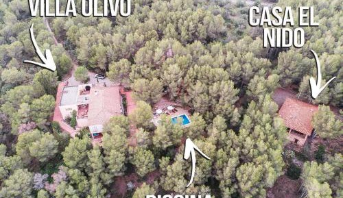 Deluxe Villa