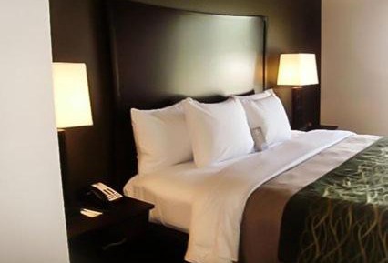 King Room - Non-Smoking