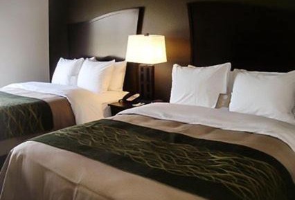 Queen Room with Two Queen Beds - Non-Smoking